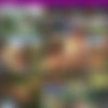 Babalu Megapack thumb