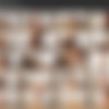 [Cosmid.net] SiteRip_All videos for 2016_HD thumbnail