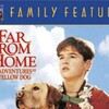 Far from Home The Adventures of Yellow Dog 1995 1080p DSNP WEB-DL AAC2 0 H 264-GPRS thumb