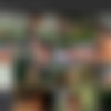 [PlayboyPlus.com]  2005  (386 ) [Erotic, Solo, Nude, Posing, 1080p, SiteRip] thumb