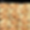 [ProlapseParty.com] - (42 ) [2012-2013 ., Prolapse, Rosebutt, Group, Fisting] thumb