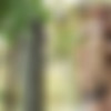 [VivThomas.com / MetArt.com] Eva Berger & Lovenia Lux - Instant Attraction Episode 2 - Picturesque (10.11.2017) [Lesbian, Outdoors, Red Heads, 1080p] thumb