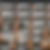 [Cosmid.net] SiteRip_All videos for 2015_720p thumbnail