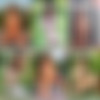 [ShowyBeauty.com] 2012-08     (6 ) [2012, Solo, 720p] thumbnail