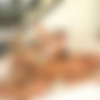 [DeepLush.com] Emma Hix - Anal With Emma [2021.03.24, All Sex, Anal Sex, Cowgirl, Cum in Mouth, Passion, POV, Rimming, 540p] thumb