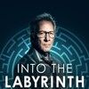 Into the Labyrinth [2019] / H264 / MKV / WEB / 1080p / AC3 / Subs / Scene / CBFM thumb
