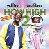 How High 2 2019 1080p BluRay DDP 5 1 H 265 -iVy thumb