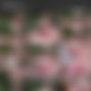 MetArt Network - 2017-02 Complete - 2160p (4K) Videos thumb