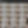 [Cosmid.net] SiteRip_All videos for 2017_1080p thumbnail