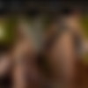 [BDSM] [Whippedass.com / Kink.com] Jan 1, 2010 - Ashley Fires and Tara Lynn Fox [2010 ., Bdsm, Strapon] thumb