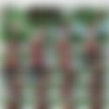 BrandNewAmateurs.com - Reese thumbnail
