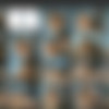 All videos from BDSM site thepainfiles.com as of 11/28/20 thumbnail