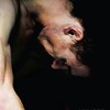 Hunger [2008] / H264 / MKV / Blu-ray / 1080p / DTS / CtrlHD thumb