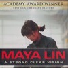 Maya Lin: A Strong Clear Vision [1995] / H264 / MKV / DVD / SD / AC3 / HANDJOB thumb