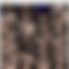 [FuckingMachines.com / Kink.com] Charlotte Sins - Charlotte Sins: Newcomer Takes a Machine Pounding (20.11.2019) [2019 ., Solo, Anal Fingering, Anal Play, Vibrator, Dildo, Machine Dildo, Fucking Machine, Masturbation, SiteRip, 720p] thumb