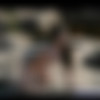 Western Ponygirls / -   (ShadowPlayers.com) [2006 ., Bondage, Fetish, Ponygirl, Ponyplay, Domination, Outdoors, Public, SiteRip] thumbnail