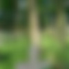 [PublicSexAdventures.com/WTFpass.com] psa 015 Sex adventure with goth princess ( Zuza) [2011 ., PickUp, Outdoor, All sex, Teen] thumbnail