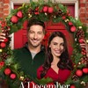 A December Bride 2016 1080p WEBRip DDP 2 0 H 265 -iVy thumb