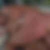[AssHoleFever.com / 21Sextury.com] Renata Fox aka Elnara Cat - Foxy Anal Enthusiast (21.12.2019) [2019 ., Anal, Blowjob, Big Dick, Teen, Babes, Big Tits, Redhead, Cumshot, Natural Tits, Deepthroat, 1080p] thumb