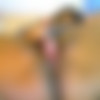 [MFC] Sweetcocoa23 Megapack thumb