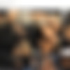 [PlayboyPlus.com] 2010-12 December (54 ) [2010 ., Erotic, Solo, Nude, Posing, 720p, 1080p, SiteRip] thumb