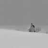 Slaughterhouse-Five [1972] / H264 / MKV / Blu-ray / 1080p / DTS / Scene / AMIABLE thumb