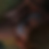 The Proteus Effect [InProgress, 10.3] (Proxxie) [uncen] [2017, RPG, 3DCG, Fantasy, Female Protagonist, Oral, Yuri/Lesbians, Futanari] [eng] thumb