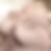 [Analized.com] Samantha Rone - Samantha Rone Blonde Anal Sex Toy (15.09.2017) [2017 ., Anal, BDSM, Blondes, Gaping, Hipster, Natural, Roleplay, Swallowing, 720p] thumb