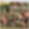 [RylskyArt.com] 2014-08-16 Itna - Pletiena [Erotic, 720p] thumb
