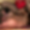 [Tyrannized.com / Orgymax.com] Hell Bar /  ,,,  ! [24.06.09, Femdom, All Sex, Foursome(FFMM), oral, SiteRip] thumbnail