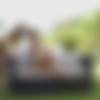 [SexyHub.com / Lesbea.com] Adel Morel & Kaisa Nord - Euro beauties outoor anal play [2019.11.17, Ass Licking, Pussy Fingering, Pussy Licking, Outdoors, Lesbian, Anal Toys, Dildo, Sex Toys, Vibrator, Bikini, Athletic, Caucasian, Innie Pussy, 720p] thumb