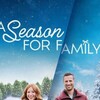 A Season for Family 2023 1080p WEBRip DDP 5 1 H 265 -iVy thumb