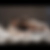 [SexArt.com] Jenni Ferri - End Of The Evening (26-01-2020) [indoors , natural tits, boy-girl, penetration, bg cunnilingus, Bedroom, climax, smooth, bg kissing, white sheets, bg blow job, cum shot] thumb