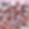 Caribbeancom November 2014 Megapack (Uncensored) [FHD] thumb