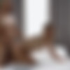 [LetsDoeIt.com / TheWhiteBoxxx.com] Angel Rivas (Babe enjoys anal with her lover) [15.12.2019, All Sex, Ass Fucking, Cum on Ass, Anal, Big Ass, Blonde, Blowjob, Hardcore, Tattoo, 1080p] thumb