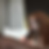 BrothaLovers.com - Alice Green - 2160p thumbnail