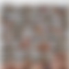 [InTheCrack.com] Lia Lin (#1955) [2025-01-14, Close Up, Dildo, Masturbation, Pissing, Posing, Solo, 1080p] thumb