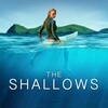 The Shallows (2016) (1080p BluRay x265 HEVC 10bit AAC 5 1 Tigole) thumb