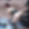 [ShadowPlayers.com] Southwest Ponygirls / - - [2014 ., Bondage, Domination, Ponygirl, Ponyplay, Outdoors, Pet play, SiteRip] thumbnail