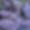 [FERRONETWORK.com / StraponPower.com] Rosa, Silvester, Hubert /g567 [03.06.2012, Femdom, Russian, Female domination, Stockings, StrapOn, Anal, SiteRip, 720P] thumbnail