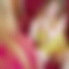 [MetArtX.com] 2021-10-11 Elvera - Tic Tac Toe 2 [Nude, Posing, Masturbation] [1080p, HDRip] thumb