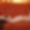 [PlayboyPlus.com]    Playboyplus  2017  (308 ) [2017 ., Erotic, Solo, Nude, Posing, 1080p, SiteRip] thumb