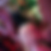 [PartyHardcore.com / Tainster.com] Party Hardcore Gone Crazy Vol. 34 Part 5 (2017-03-27) [Blowjobs, Amateur, Male strippers, Hardcore, Party, Handjobs, Blondes, Dancing, Brunettes, Hard cock, 720p] thumb