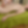 [Defloration.com / VirginMassage.com] Domna Svistok aka Alisa Lee - Virgin Massage [2021-05-13, Brunette, Teen, Solo, Masturbation, 1080p] thumb