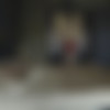 [Escortcasting.com] Russian Escort Review [2016 ., All sex, Blonde, Anal] thumbnail