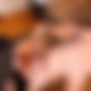 [GroobyGirls.com] Racy Tracy - The Racy to the Bottom (14 Mar, 2024) [2024 ., Shemale, Transsexual, Hardcore, Stockings, Small Tits, Blowjob, Anal, Bareback, Cumshot, 720p, SiteRip] thumb