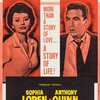 The Black Orchid [1959] / H264 / MKV / WEB / 1080p / AC3 / Subs / SbR thumb
