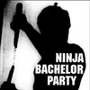 Ninja Bachelor Party [1991] / MPEG2 / MKV / DVD / SD / AC3 thumb