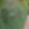 [WowGirls.com] Guerlain (Fantasies Are All I Need / 17.08.2013) [2013 ., Legal Teen, Posing, Solo, Outdoor, HDRip, 1080p] thumb