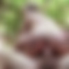 [IMadePorn.com / TeamSkeet.com] Una Fairy ( Fairy in the Woods)[2023, Feature, Hardcore, All Sex ,Couples, 1080p] thumb